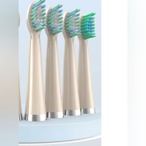 Rtauys Replacement Brush Heads